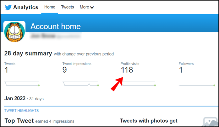 Check Profile Visits on Twitter
